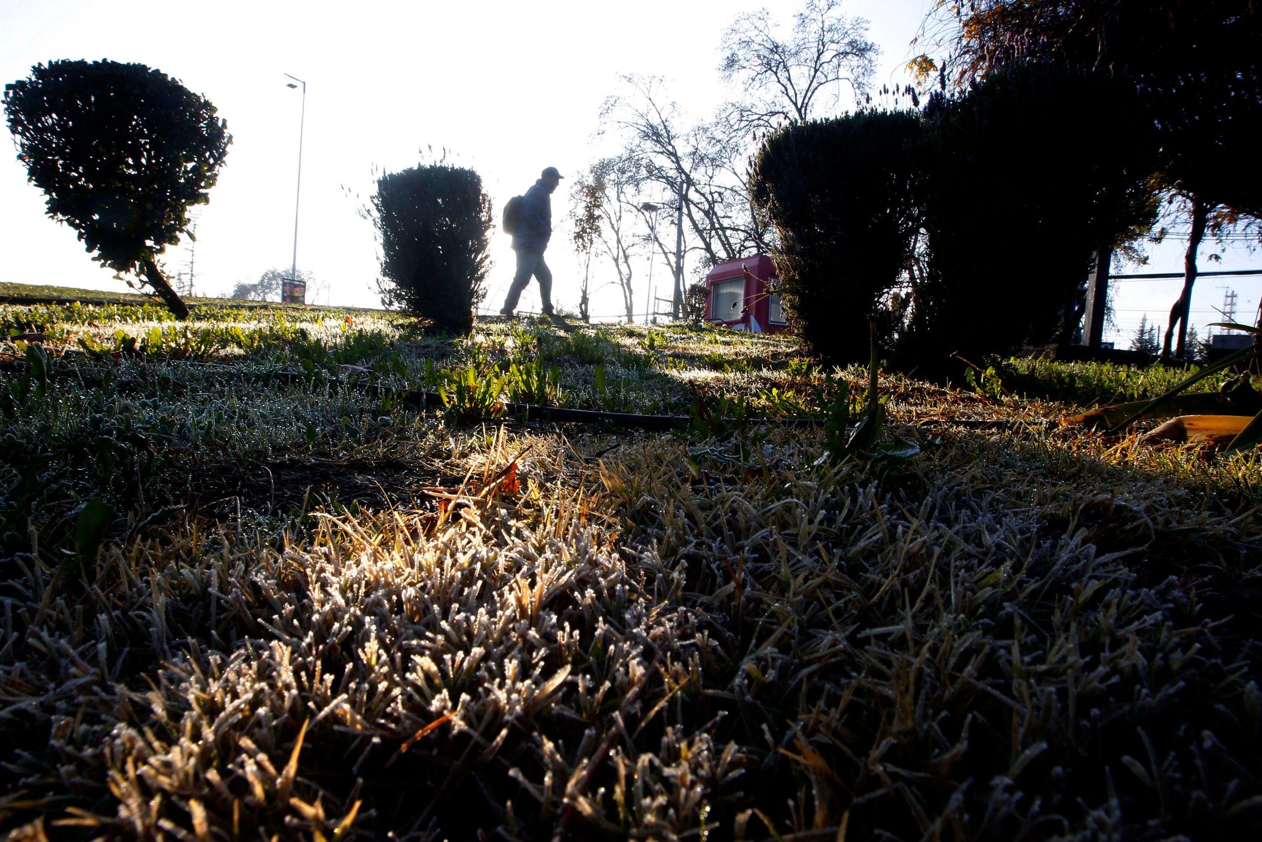 Persisten las heladas en la Región Metropolitana con temperaturas que podrían llegar a -3°C