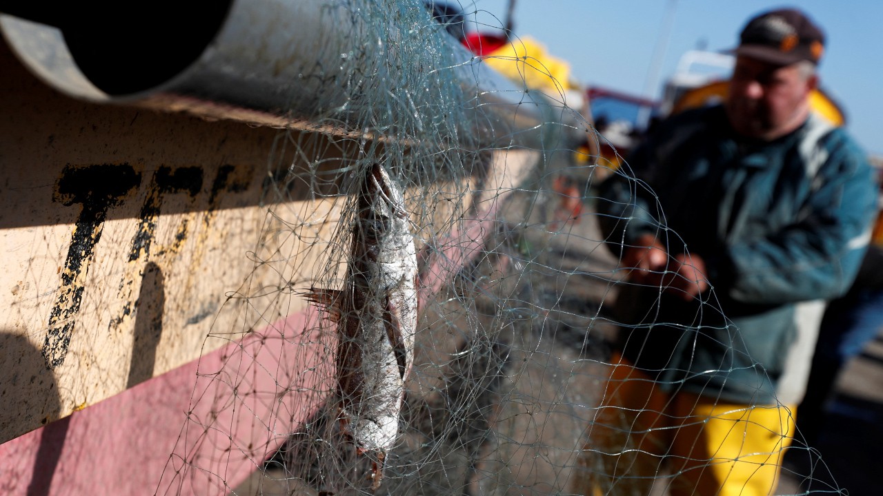 Nuevo mapa de la pesca industrial en Chile tras la aprobación de la Ley de Fraccionamiento Pesquero