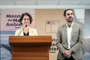 Tribunal Constitucional rechaza disputa de competencia en caso Dominga y valida actuación del Tribunal Ambiental