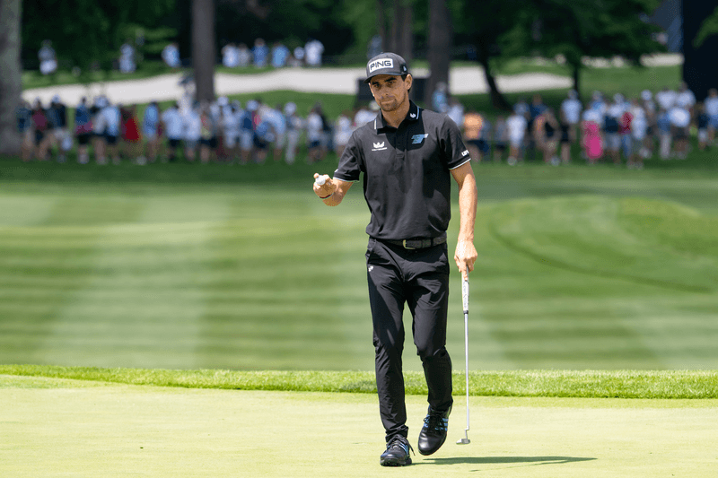 Inversiones y patrimonio de Joaquín Niemann en Chile: un análisis de sus sociedades locales