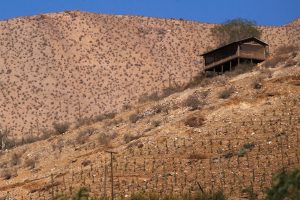 Día Mundial contra la Desertificación: expertos advierten que el cambio climático intensificará las sequías en Chile
