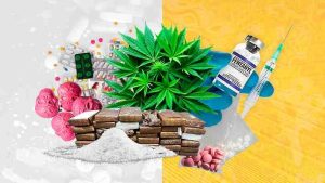 ONU alerta sobre récord histórico en consumo y producción de drogas a nivel mundial