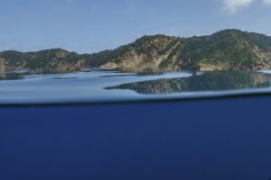 Conferencia de la ONU en Francia busca transformar promesas en acciones concretas para la protección del océano