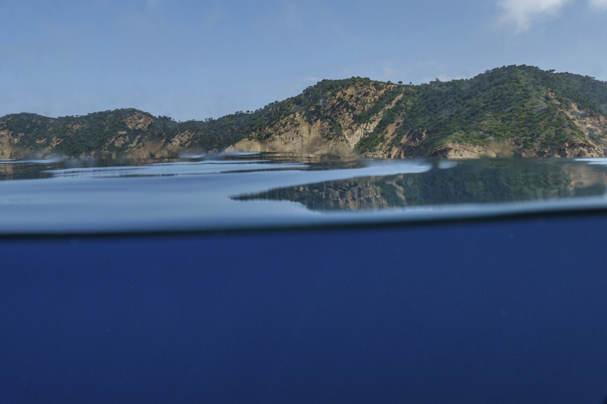 Conferencia de la ONU en Francia busca transformar promesas en acciones concretas para la protección del océano